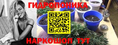 кокаин колумбия Новозыбков
